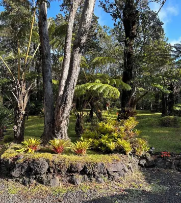 The Jungalow is a charming renovated bungalow minutes from Volcano National Park