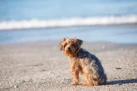 Tabist Business Yado Sepia Omaezaki