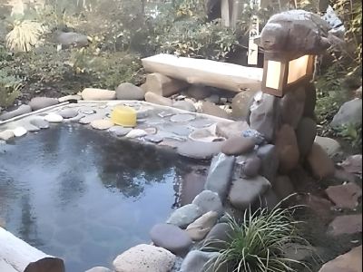 スパ・大浴場 亀清旅館の写真