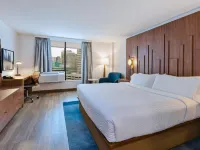 Hotel Indigo DETROIT DOWNTOWN by IHG Hotels near منتزه بيلي أيسل