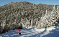 Cozy Mountain Escape to Southern Vermont