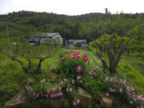 Gangjin Sandeul Farm Pension