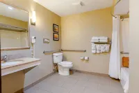 Comfort Suites South Haven Near I-96 Hotel a Casco Township