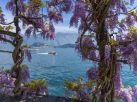 Plesio Rustico Panoramica Hotels in Plesio
