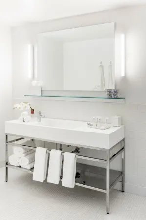The Chicago Hotel Collection - Ambassador Gold Coast