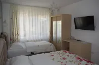 Pensiunea Nicolas Hotels in Буштень