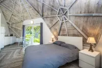 Studio 01 - Lake Sumner