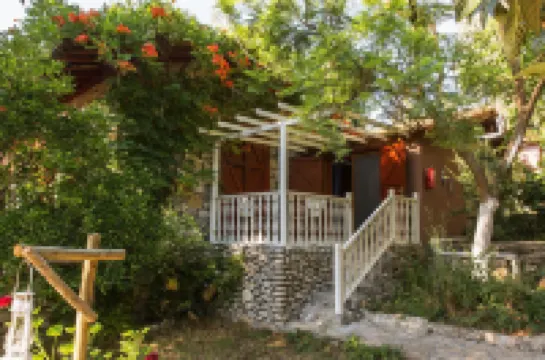 นอติคอล โรงแรม สำหรับผู้ใหญ่เท่านั้น