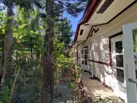Olana Bed and Breakfast Hotels near Pogo Bagy rd