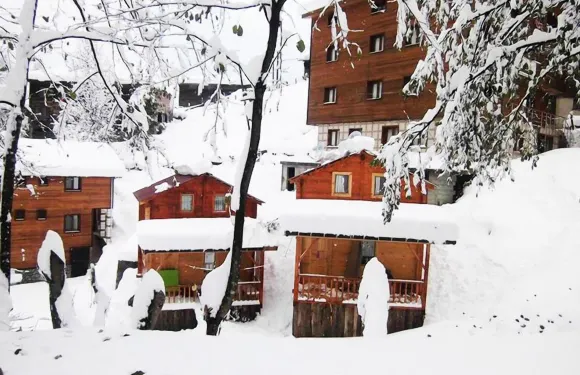 埃德爾布盧達艾維酒店