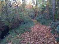 One Bedroom Suite on 1.5 Acres in Wine Country