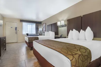 Best Western Padre Island Hotels in Corpus Christi