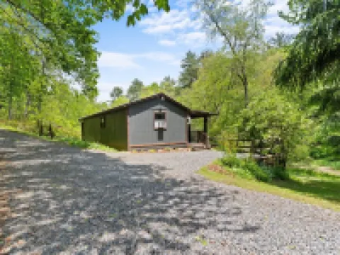 Creekside Vibes - 1 Bedroom Cozy Cabin w/ Outdoor Fire Pit + Pet Friendly! Hotels in Laurel Fork