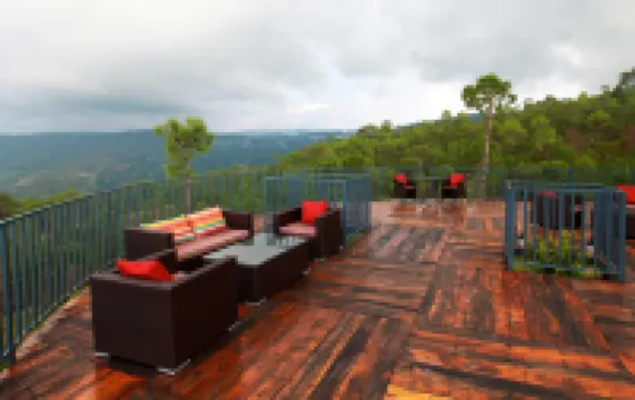 Seed at Queens Meadows, Ranikhet