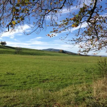 Garden Escape in Wernigerode