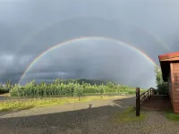Denali RV Park & Motel Hotels in Denali