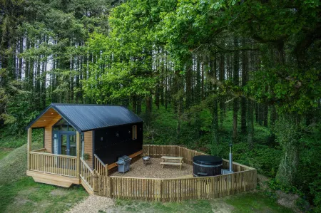 Cabin in the Woods - 1 Bed - Kilgetty