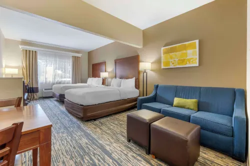 Comfort Suites Keeneland Hotels in Versailles