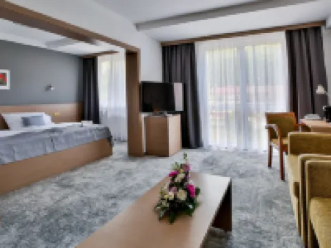 LH Parkhotel Hluboka Nad Vltavou Congress & Wellness Hotele w: Hluboka Nad Vltavou