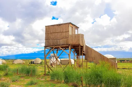 Amanya 1-Bed Leopard Tent