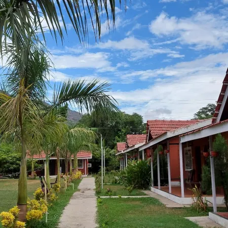 Mango Tree Farm