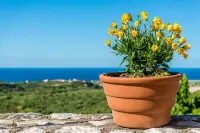 Chania Poolside Resort - Panoramic Seaview Lodging Hotel a Polemarchi