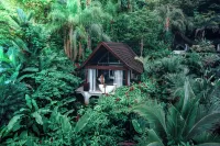 Oxygen Jungle Villas & Spa Hotels in 