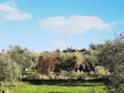 라 코르테 델리 욜리비