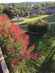 Chambre d'Hotes les Cigales Hotels in Comps