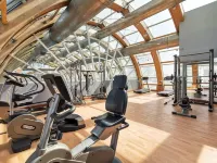 The Ritz-Carlton, Santiago - Fitnessstudio