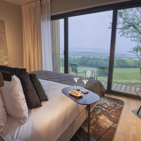 Loisium Wine & Spa Hotel Champagne