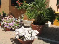 Country House Country Club Các khách sạn gần Đảo Burano