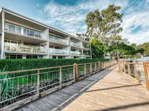Jacaranda Noosa