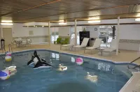 Quality Inn & Suites University Fort Collins - Pools