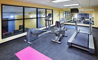 Holiday Inn Express & Suites Niagara Falls