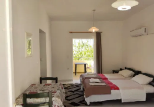 Zinovia Hotels in Daratso