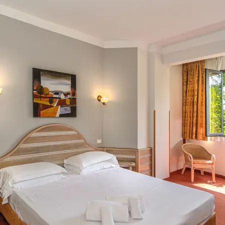 Hotel Nedy