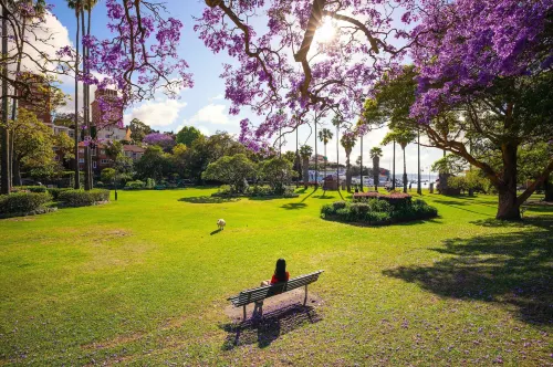 Carnarvon Lodge Kirribilli, Sydney Hotels in Kirribilli