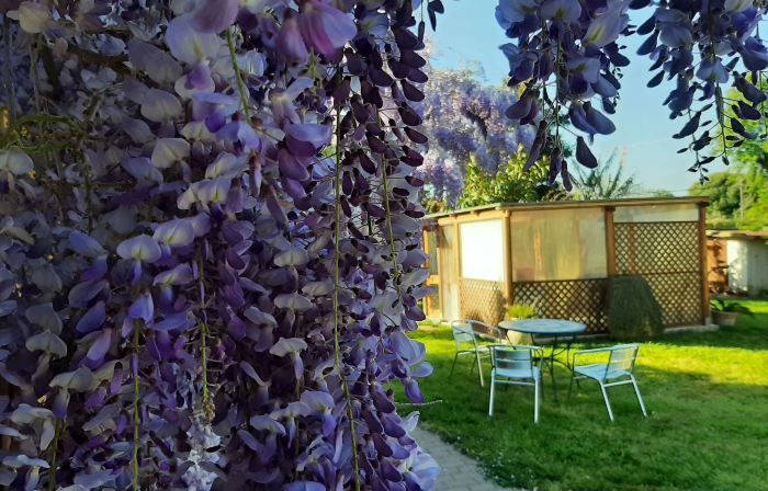 Casa campagna dal pozzo