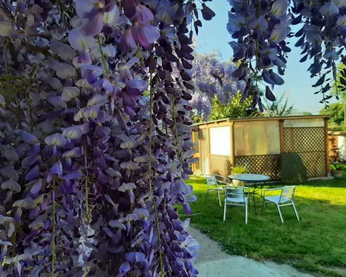 Casa di Campagna Dal Pozzo Hotels in Sorso