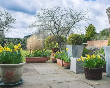 Somerville House Hotels in Hereford