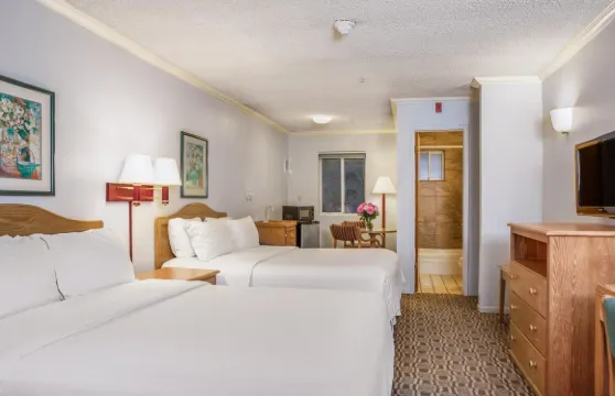 布埃納維斯塔酒店