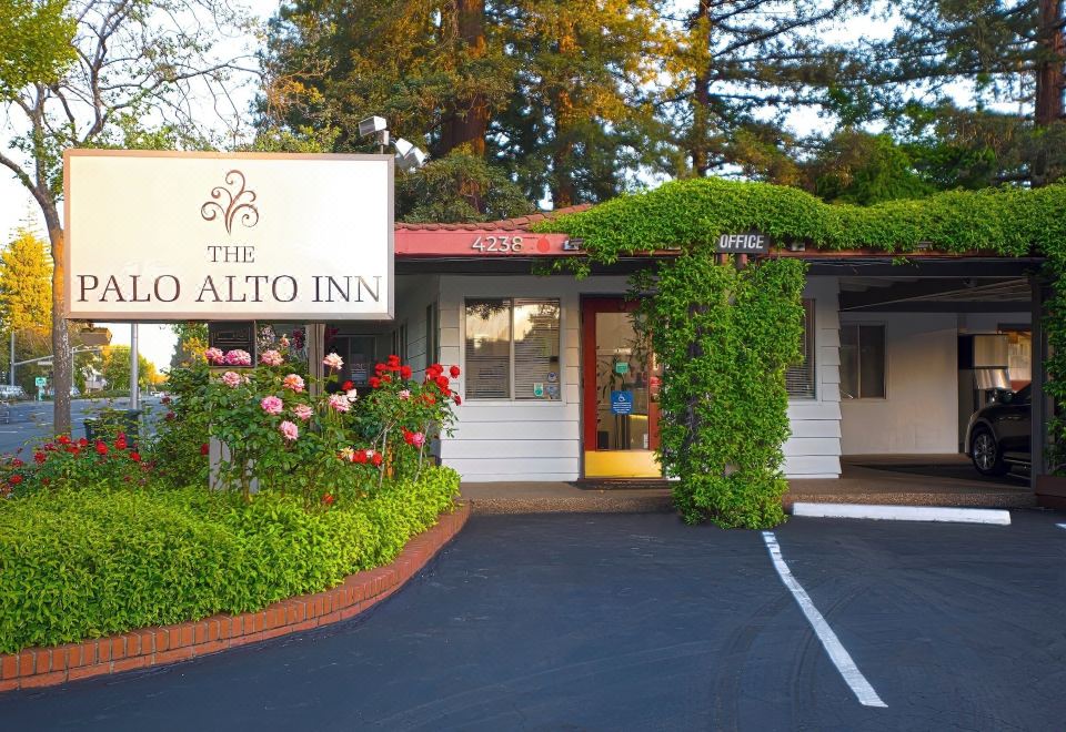 4. 더 팔로 알토 ..