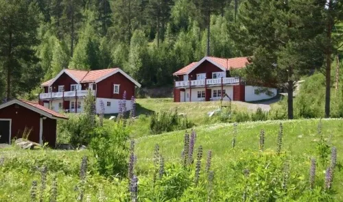 Bjursas Skicenter & Camping - Homestays