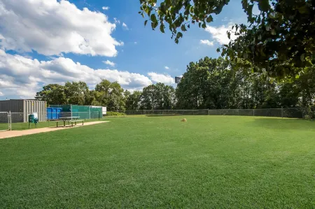 Country Inn & Suites by Radisson, Fredericksburg South (I-95), VA