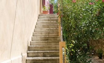 Mas Abicou - Chambres d'hôtes - Housity