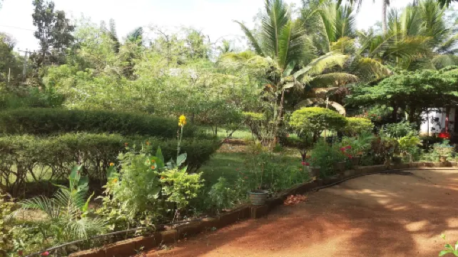 Sigiriya Pikaso Homestay