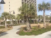 Windsurfer Hotel Hotels near Myrtle Waves