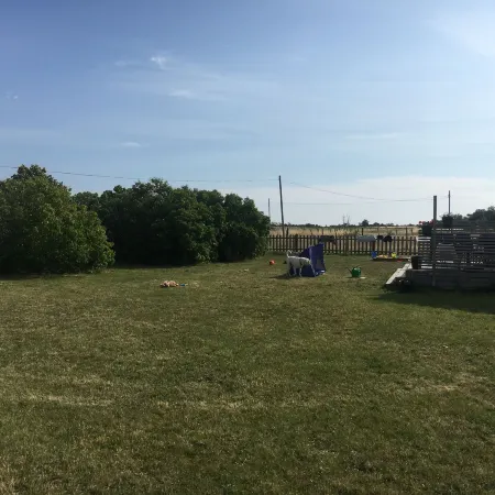 Sodra Gotland 14 Bed with Pool