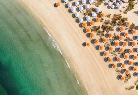 주메이라 마르사 전망